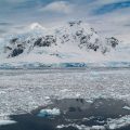 Antarktische Impressionen