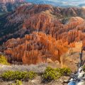 Bryce Canyon / Utah