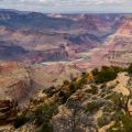 Grand Canyon on the rim